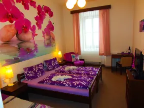Hotel Stará škola na Šumavě - Camera