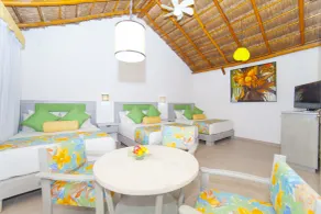 Mestizo Gallery - Room