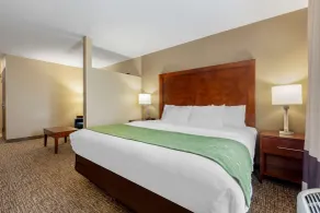 Comfort Inn Plover-Stevens Point - Chambre