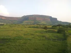 Rajasthani Rajwadi Hotel & Restaurant - View from property