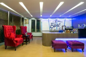 The Blue Hotel - Réception