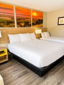 Days Inn by Wyndham KU Lawrence - Chambre