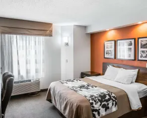 Sleep Inn Bessemer Helena - Chambre