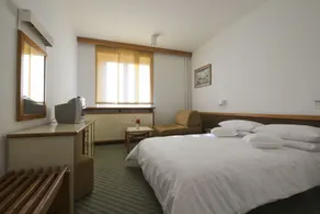 Bat Hotel Bistrica - Værelse