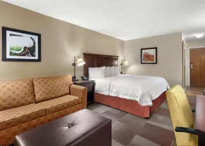 Hampton Inn Dallas-Irving-Las Colinas - Room