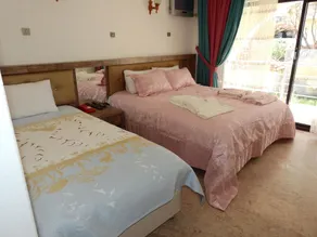 Hotel Paris - Room