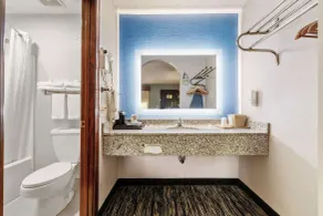 Quality Inn Adairsville-Calhoun South - Baño