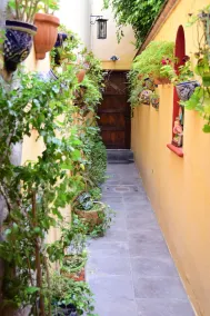 Casa Maricela B&B - Entrée intérieure