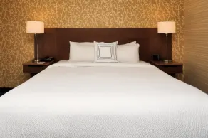 Fairfield Inn & Suites by Marriott Greenville - Chambre