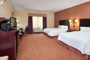 Hampton Inn & Suites Austin South/Buda - Chambre
