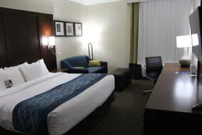 Comfort Inn & Suites Near Six Flags & Medical Center - Room