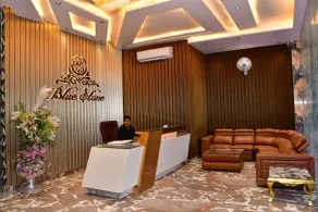 Hotel Blue Stone - Réception