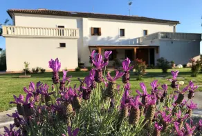 B&B Tenuta della Duchessa - Recepción
