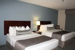 Best Western Rocky Mountain House Inn & Suites - Chambre