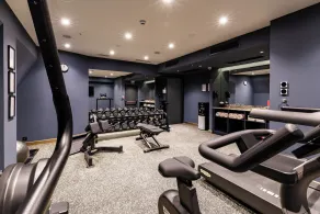 Hotel Indigo Batumi - Old Town by IHG - Fitnessfaciliteter