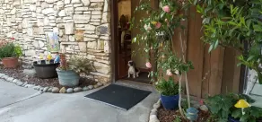 Carmel Valley Lodge - Réception