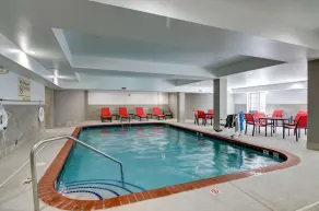 Hampton Inn Salem, VA - Piscine