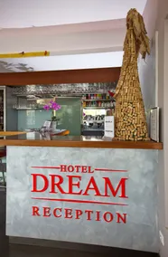 Dream Hotel - Reception