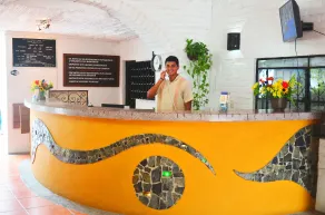 Hotel Hacienda de Vallarta Centro - Réception