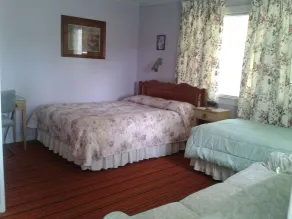 Cohocton Valley Inn - Værelse