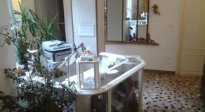 Madam Treviso - Réception