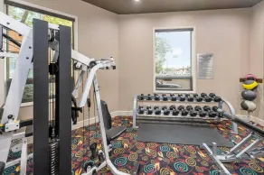 Grand Hotel & Conference Centre Calgary Airport, an Ascend Collection Hotel - Fitness facility