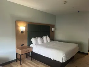 Wingate Suites By Wyndham Mansfield Ontario - Chambre