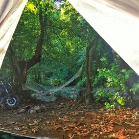 Kirkahvesi Garden - Campsite - Jardines del alojamiento