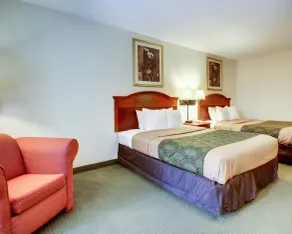 Econo Lodge Inn & Suites Gulfport Airport - Chambre