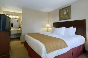 Baymont by Wyndham Mobile/ I-65 - Room