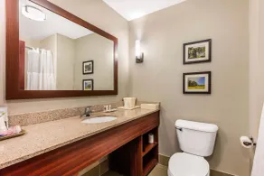 Comfort Suites Tuscaloosa near University - Salle de bain