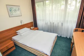 Hotel Grand - Room