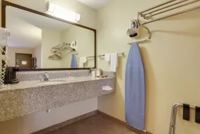 Mill Tree Inn Millington - Salle de bain