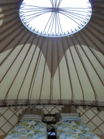 Ceridwen Glamping, double decker bus and Yurts - Room