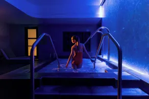 Hotel Ivy, a Luxury Collection Hotel, Minneapolis - Piscine