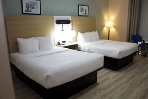 Quality Inn Southampton - Habitación