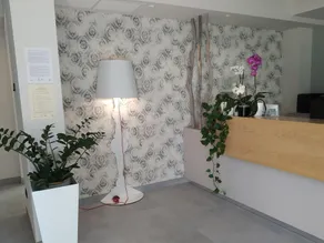 Hotel Villa Barsanti - Receção
