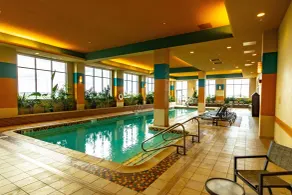 Embassy Suites Omaha-La Vista/Hotel & Conference Center - Piscine