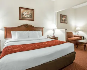 Comfort Suites - Jefferson City - Chambre
