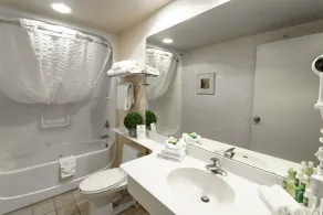Royal Hotel Edmonton Airport Trademark Collection By Wyndham - Salle de bain