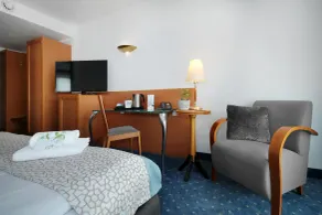 Best Western Hotel Halle-Merseburg - Room