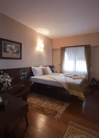 Burckin Hotel - Room