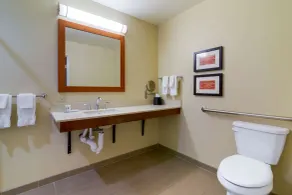 Comfort Inn & Suites Mandan - Bismarck - Salle de bain