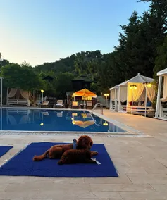 Olympos Talara by Arzum - Pool
