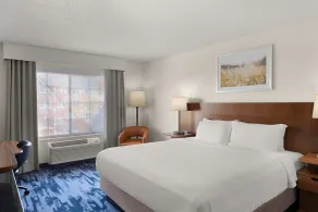 Fairfield Inn & Suites Naperville/Aurora - Chambre