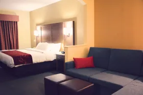 Comfort Suites Bush Intercontinental Airport - Chambre