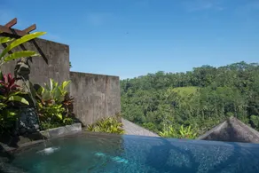Black Penny Villas Ubud - Pool