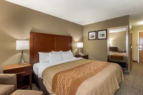 Comfort Inn Walcott near Davenport - Værelse