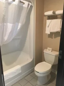 Comfort Inn Port Huron - Badeværelse