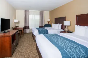 Comfort Inn Naugatuck-Shelton, CT - Chambre